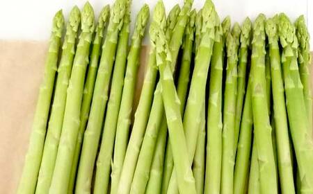 【先行予約2026年2月中旬~2026年6月下旬頃お届け】【訳あり】春芽 さぬきのめざめアスパラガス 約1kg 1万円 F5J-767