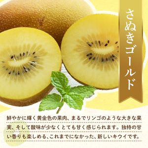 【フルーツ定期便 2回】 《ピオーネからスタート》 Aセット ピオーネ 約1.2kg さぬきゴールド 約2.7kg ぶどう キウイ キウイフルーツ 旬 果物 国産 香川県 フルーツ定期便 F5J-779