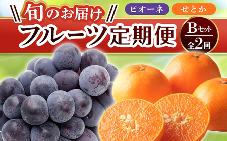 【フルーツ定期便 2回】 《せとかからスタート》 Bセット ピオーネ 約1.2kg せとか 約5kg ぶどう みかん 柑橘 旬 果物 国産 香川県 フルーツ定期便 F5J-780