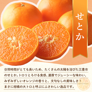 【フルーツ定期便 2回】 《せとかからスタート》 Lセット せとか 約5kg デコポン 約5kg  みかん 柑橘 旬 果物 国産 香川県 フルーツ定期便 F5J-790