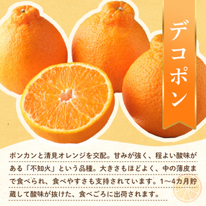 【フルーツ定期便 2回】 《せとかからスタート》 Lセット せとか 約5kg デコポン 約5kg  みかん 柑橘 旬 果物 国産 香川県 フルーツ定期便 F5J-790