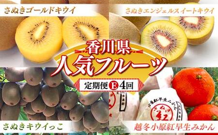 【人気フルーツ定期便E 4回】《さぬきゴールドキウイからスタート》さぬきゴールド さぬきエンジェルスイートキウイ さぬきキウイっこ 越冬小原紅早生みかん 各約1kg  キウイ みかん 旬 フルーツ 果物 国産 香川県 F5J-1184
