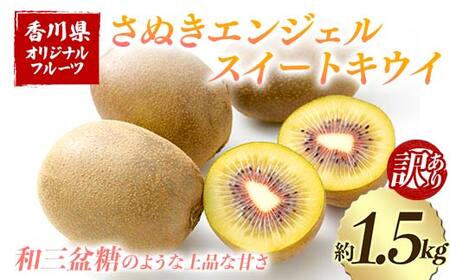 【先行予約2026年11月～2026年12月頃お届け】 訳ありさぬきエンジェルスイートキウイ(約1.5kg) フルーツ 果物 くだもの キウイ さぬき エンジェルスイートキウイ デザート 食品 名産 オリジナル品種 四国 1万円 F5J-1065 6,840円