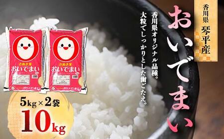 令和5年度産 香川県琴平産おいでまい 5kg×2 米 精米 おいでまい さぬき米 5kg セット ギフト 贈り物 四国 新米 F5J-425 |  香川県琴平町 | ふるさと納税サイト「ふるなび」