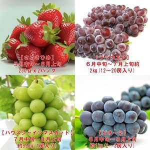【フルーツ定期便】フルーツ王国さぬきの旬のフルーツを毎月１種類ずつお届け【G-9】