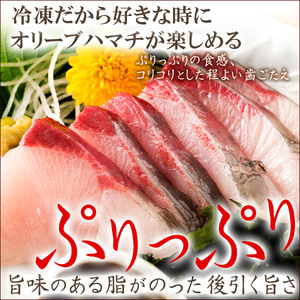 オリーブハマチ　冷凍　柵４本【B-53】