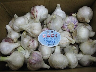 多度津町産　生にんにく（予約受付中！令和8年5月上旬頃から発送）【B-22】