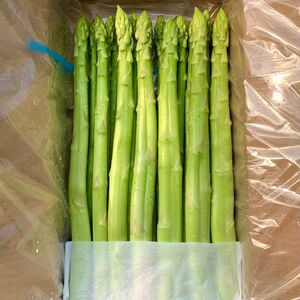 個性アスパラ（L-2L混合）さぬきのめざめ1kg (訳あり)【予約受付：令和8年4月頃より御用意出来次第発送】【L-14】