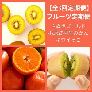 【全3回フルーツ定期便】さぬき讃フルーツさぬきゴールドと小原紅早生みかんとさぬきキウイっこ【D-15】 6,840円