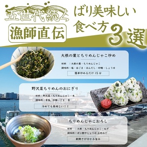 瀬戸内香川県産 ちりめん 1kg【A-133】