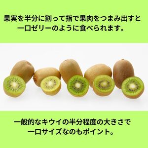 香川県オリジナルキウイフルーツ「さぬきキウイっこ®」1.3kg【予約受付中！令和8年11月上旬頃から発送】【A-46】