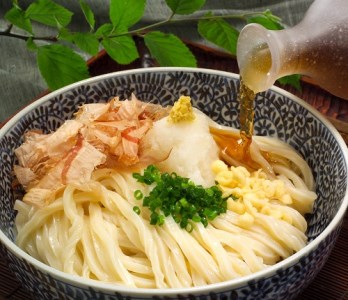 純生！これぞ真髄！本場さぬきうどんめん一の打ちたてうどんセット(6人前)【L-11】