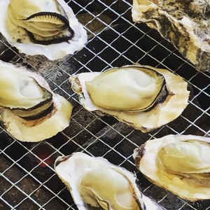 白方かき 電子レンジでお手軽調理　殻付きかき(加熱用)　500g×2袋【令和8年1月頃から4月頃までの期間限定出荷】【L-31】