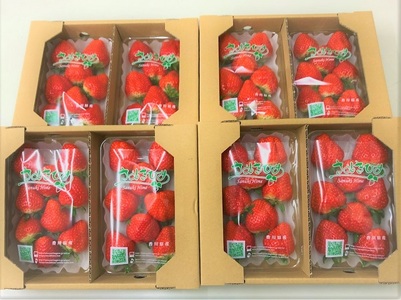 香川県オリジナル品種 さぬきひめいちご 約2kgパック【令和8年2月中旬頃より発送】【B-50】