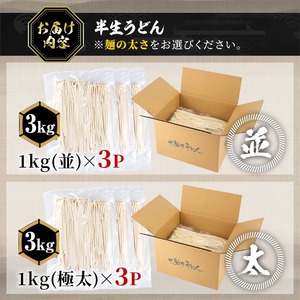 <訳あり> 半生うどん (極太・3kg) 本場 讃岐 香川県 麺 コシ 常温 【man162-D】【こんぴらや販売】