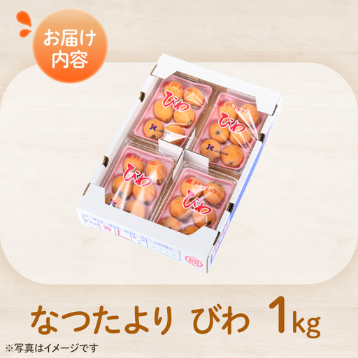 ＜先行予約！2026年5月下旬以降順次発送予定＞なつたより びわ (約1kg) 果物 フルーツ 産地直送 【man066】【Aglio nero】