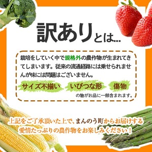 ＜先行予約！2024年11月下旬以降順次発送予定＞＜訳あり・家庭用＞香川県産 小原紅早生みかん (約5kg・小玉) 国産 果物 フルーツ みかん ミカン 柑橘 新鮮 【man088・man089】【Aglio nero】