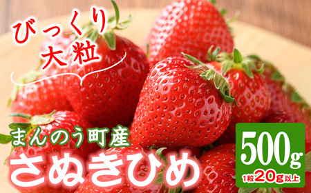 ＜先行予約！2026年3月下旬以降順次発送予定＞大粒！香川県産 さぬきひめいちご (約500g・1粒20g以上) 国産 果物 苺 イチゴ フルーツ 産地直送 冷蔵便【man104・man105】【Aglio nero】