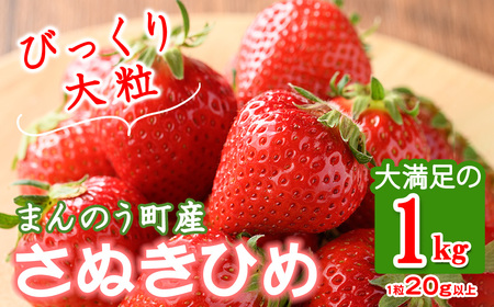 ＜先行予約！2026年3月下旬以降順次発送予定＞大粒！香川県産 さぬきひめいちご (約1kg・1粒20g以上) 国産 果物 苺 イチゴ フルーツ 産地直送 冷蔵便 【man104・man105】【Aglio nero】