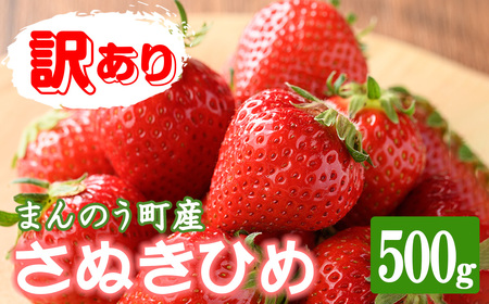 ＜先行予約！2026年3月下旬以降順次発送予定＞＜訳あり＞香川県産 さぬきひめいちご(約500g) 国産 果物 苺 イチゴ フルーツ 産地直送 冷蔵便 【man106・man107】【Aglio nero】