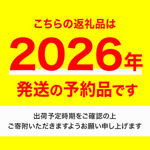 ＜先行予約！2026年3月下旬以降順次発送予定＞＜訳あり＞香川県産 さぬきひめいちご(約500g) 国産 果物 苺 イチゴ フルーツ 産地直送 冷蔵便 【man106・man107】【Aglio nero】