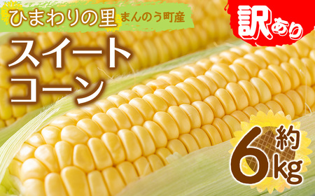 ＜先行予約！2026年6月上旬以降順次発送予定＞＜訳あり・家庭用＞イエローコーン(約6kg) 香川県 国産 トウモロコシ とうもろこし 新鮮 冷蔵便 【man114・man115】【Aglio nero】