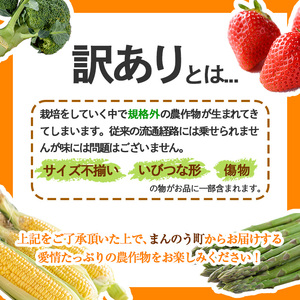 ＜先行予約！2025年2月上旬以降順次発送予定＞＜訳あり＞ 香川県産 ブロッコリー 訳あり (約2.5kg)   まんのう町 特産品 香川県 生もの 国産 鮮度抜群 野菜 産地直送 新鮮 冷蔵便【man058・man108】【Aglio nero】