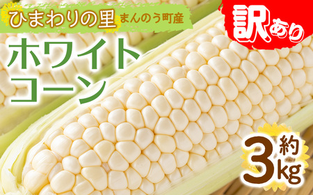 ＜先行予約！2026年6月上旬以降順次発送予定＞＜訳あり＞ホワイトコーン(約3kg) 香川県 国産 とうもろこし トウモロコシ 新鮮 冷蔵便 【man109・man112】【Aglio nero】