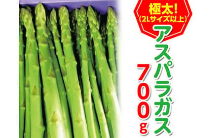 先行予約!2026年2月下旬以降順次発送予定><極太>アスパラガス(約700g・2Lサイズ以上) 香川県 国産 野菜 アスパラ 新鮮 冷蔵便 【man096】【Aglio nero】
