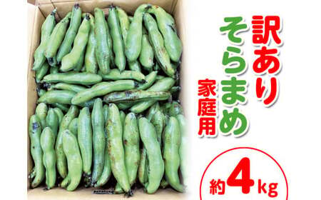 ＜先行予約！2026年5月上旬以降順次発送予定＞＜訳あり・家庭用＞そらまめ (約4kg)  国産 野菜 そらまめ 【man103】【Aglio nero】