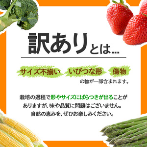 ＜先行予約！2026年5月上旬以降順次発送予定＞＜訳あり・家庭用＞そらまめ (約4kg)  国産 野菜 そらまめ 【man103】【Aglio nero】