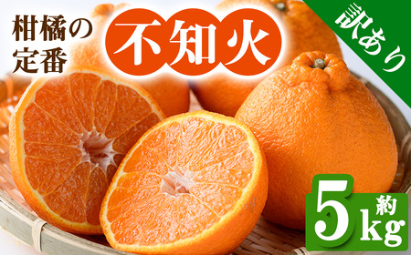 ＜先行予約！2026年2月下旬以降順次発送予定＞＜訳あり・家庭用＞香川県産 不知火(約5kg) 国産 果物 フルーツ しらぬい みかん 柑橘 新鮮 【man092】【Aglio nero】