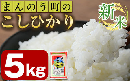 ＜令和6年産新米＞香川県まんのう町産 コシヒカリ(5kg) 国産 お米 こしひかり ご飯 白米 ライス 【man027】【香川県食糧事業協同組合】