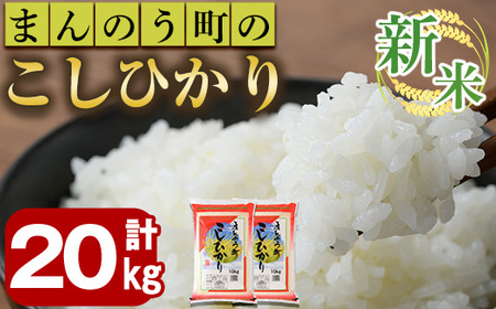 ＜令和6年産新米＞香川県まんのう町産 コシヒカリ(20kg) 国産 お米 こしひかり ご飯 白米 ライス 【man030】【香川県食糧事業協同組合】