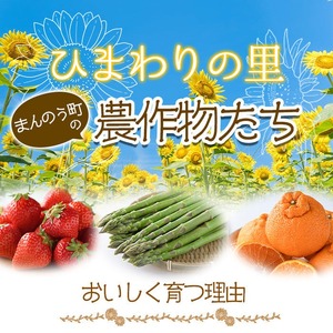 ＜先行予約！2025年5月上旬以降順次発送予定＞香川県産 厳選大玉生にんにく(約5kg) にんにく ニンニク ガーリック 果物 フルーツ 産地直送 【man069】【Aglio nero】