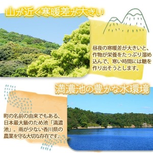 ＜先行予約！2025年5月上旬以降順次発送予定＞香川県産 厳選大玉生にんにく(約5kg) にんにく ニンニク ガーリック 果物 フルーツ 産地直送 【man069】【Aglio nero】