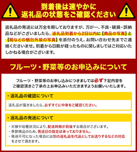 ＜先行予約！2026年6月上旬以降順次発送予定＞ バイカラコーン (約4kg) トウモロコシ とうもろこし 人気 【man070】【Aglio nero】
