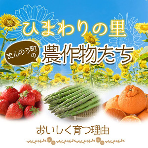 先行予約！2026年5月上旬以降順次発送予定＞そらまめ (約4kg