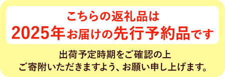 ＜先行予約！2025年3月上旬以降順次発送＞ホワイトアスパラガス (約1kg) アスパラガス アスパラ ホワイトアスパラ 野菜 農作物 産地直送 【man080】【Aglio nero】