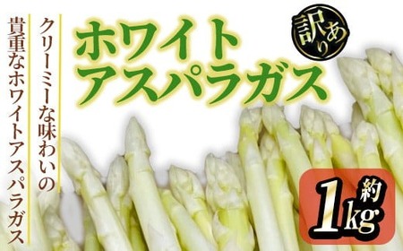 ＜先行予約！2026年3月上旬以降順次発送予定＞＜訳あり＞ホワイトアスパラガス(約1kg) 香川県 国産 野菜 アスパラ 新鮮 冷蔵便 【man081】【Aglio nero】
