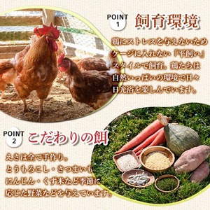 ＜数量限定＞香川県産 平飼いたまご(計30個・10個×3パック) 国産 卵 鶏卵 産地直送 ビタミン 新鮮 こだわり 安心 【man120】【翔洋舎】