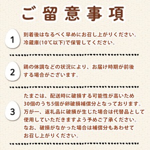 ＜数量限定＞香川県産 平飼いたまご(計30個・10個×3パック) 国産 卵 鶏卵 産地直送 ビタミン 新鮮 こだわり 安心 【man120】【翔洋舎】