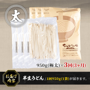 ＜訳あり・定期便＞半生うどん (2.85kg(3回)・極太) 本場 讃岐 香川県 麺 コシ 常温 小麦 【man164-B】【こんぴらや販売】