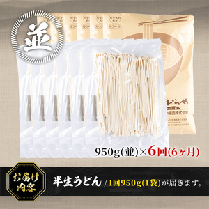 ＜訳あり・定期便＞半生うどん (5.7kg(6回)・並) 本場 讃岐 香川県 麺 コシ 常温 小麦 【man164-C】【こんぴらや販売】