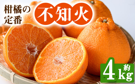 ＜先行予約！2026年2月下旬以降順次発送予定＞香川県産 不知火(約4kg) しらぬい 国産 果物 フルーツ ミカン 柑橘 新鮮【man093】【Aglio nero】