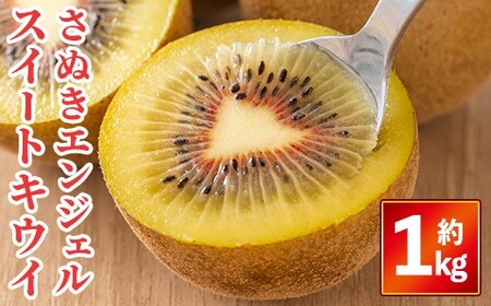 ＜先行予約！2026年11月中旬以降順次発送予定＞さぬきエンジェルスイートキウイ(約1kg) 国産 果物 キウイフルーツ 産地直送 【man353】【Aglio nero】