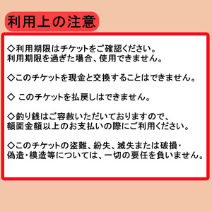 松山に泊まろう！松山宿泊14施設と伊予鉄タクシーで利用可能なチケット6,000円分 温泉 旅行 トラベル チケット 宿泊 宿泊券 旅館 予約 観光【IYR002】