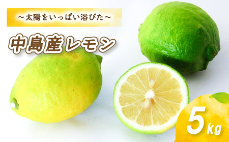 【10月から発送】 レモン 5kg ( 35 ～45玉 ) レモン 檸檬 レモン 数量限定 レモン 愛媛県産 レモン 松山市 レモン 中島 レモン 有機栽培 レモン 新鮮 レモン 【お贈り物にもおすすめ】【NO0041】