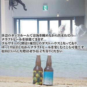 愛媛 松山 北条 クラフトビール おまかせ 12本セット (愛媛 松山 北条