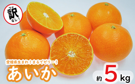 愛媛県 愛果28号 みかん 柑橘 15kg - フルーツ